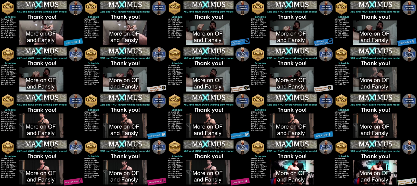 maximus_787  17-03-2022